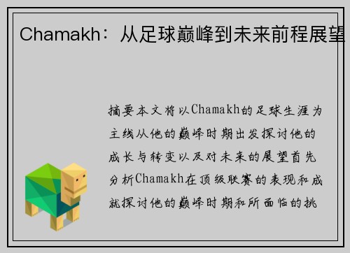 Chamakh：从足球巅峰到未来前程展望